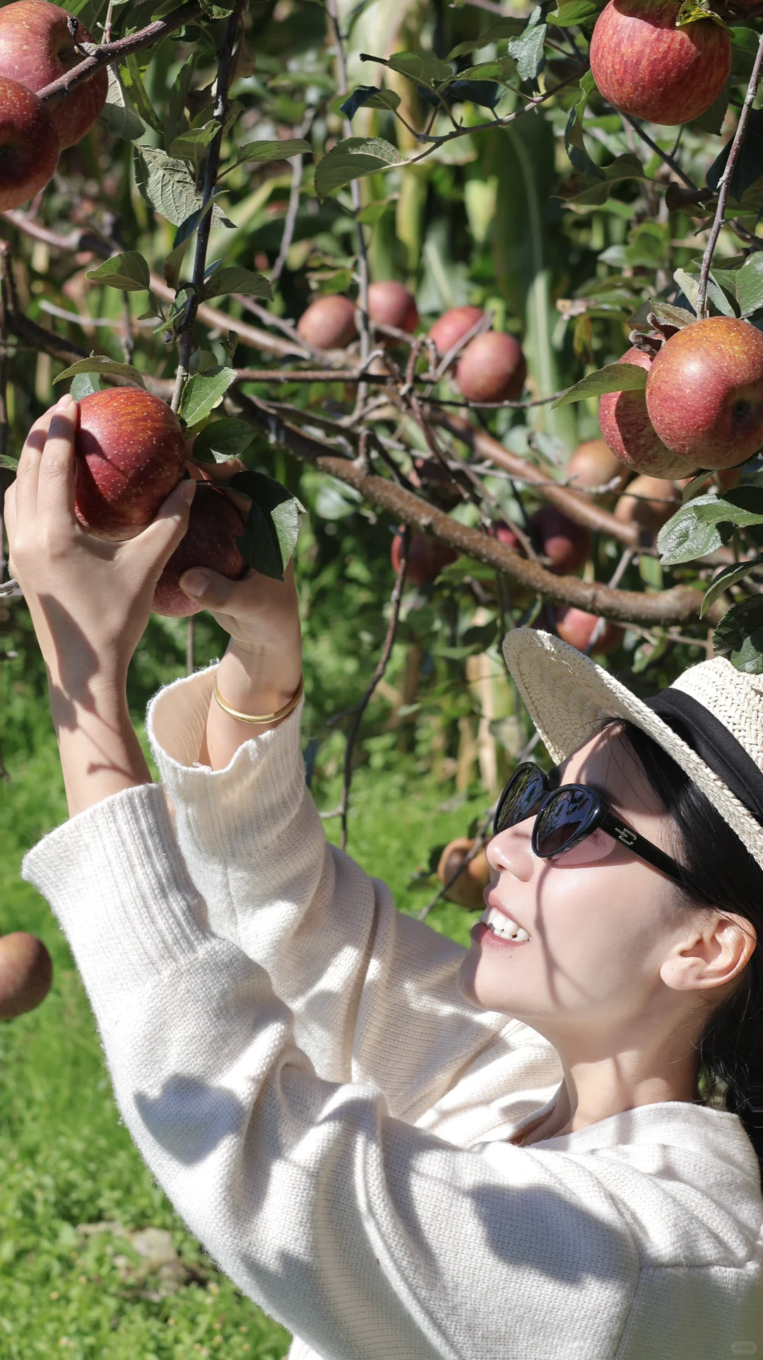 一辈子都是三农人