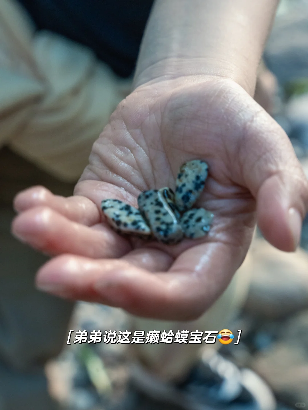 重庆遛娃|梦想照进现实，拿着探测器寻宝