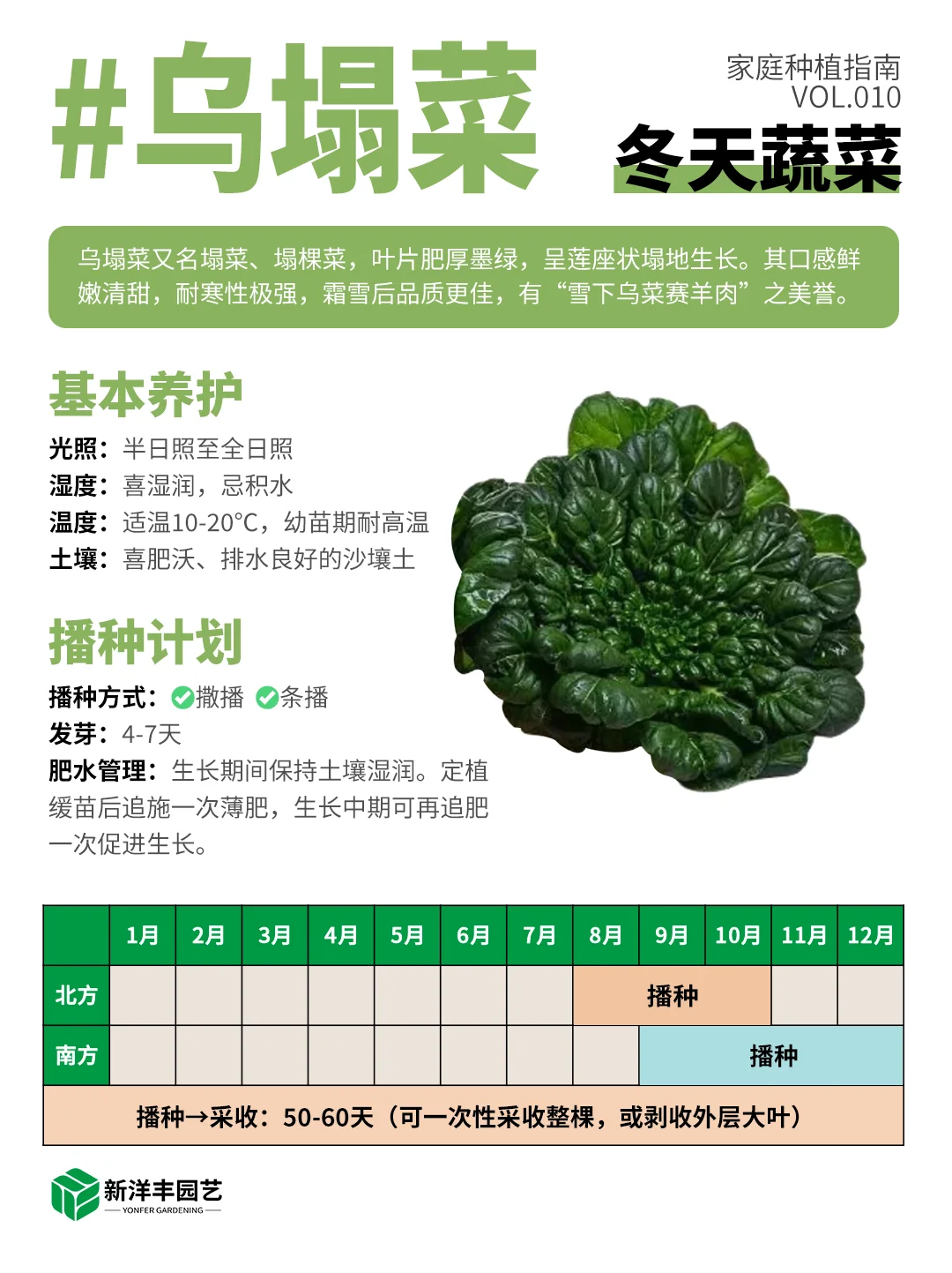 冬天种什么蔬菜？都给你整理好了