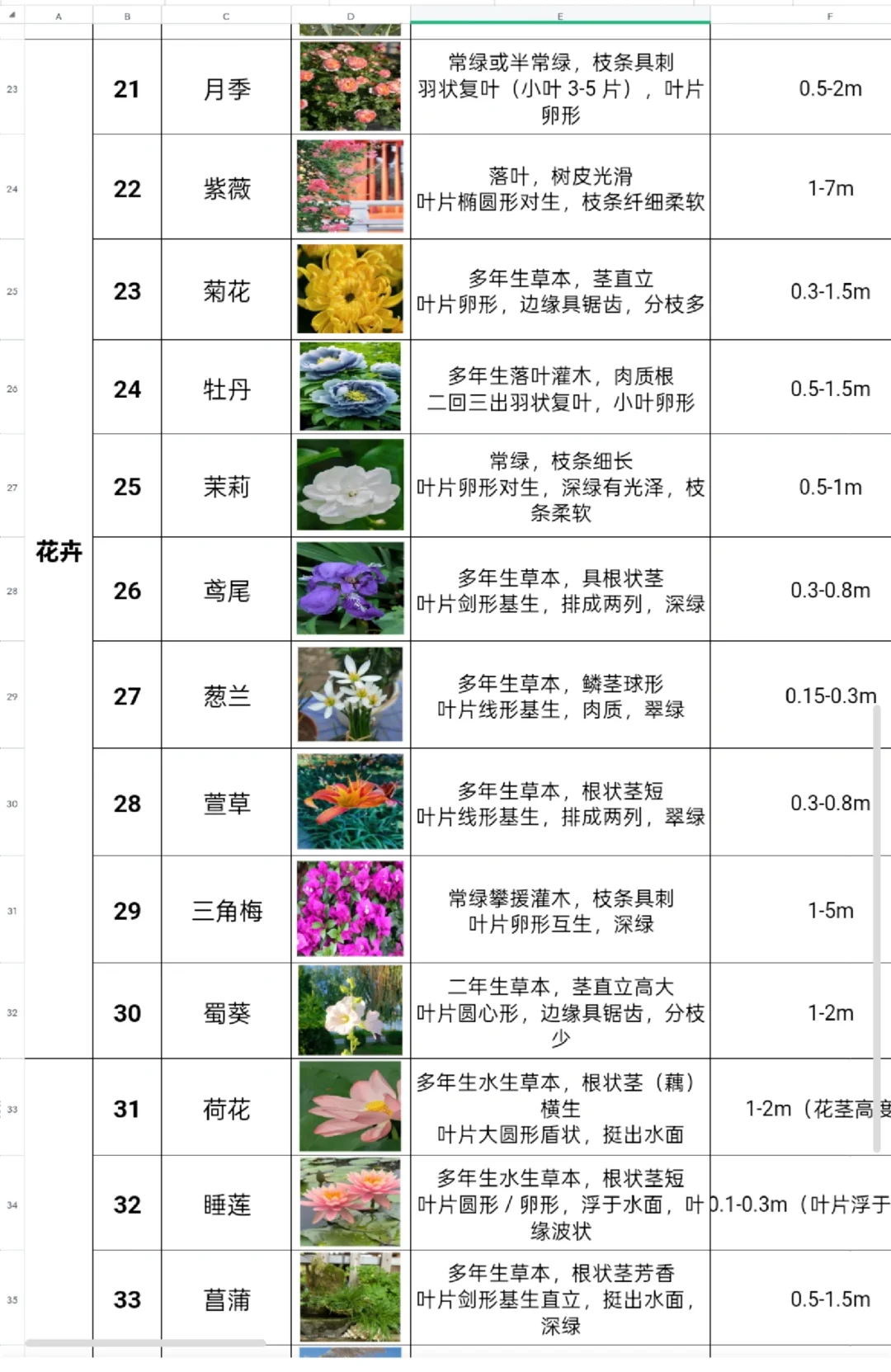 景观植物图鉴｜乔木/灌木/水生/花卉分类表