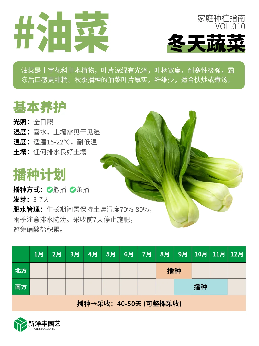 冬天种什么蔬菜？都给你整理好了