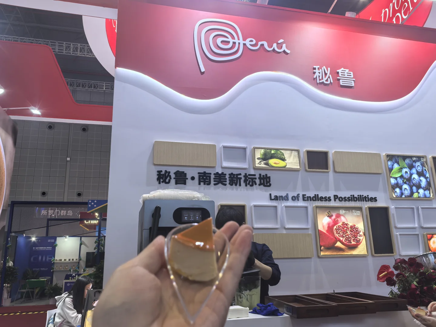 进博会老叶子的逛展攻略来了——