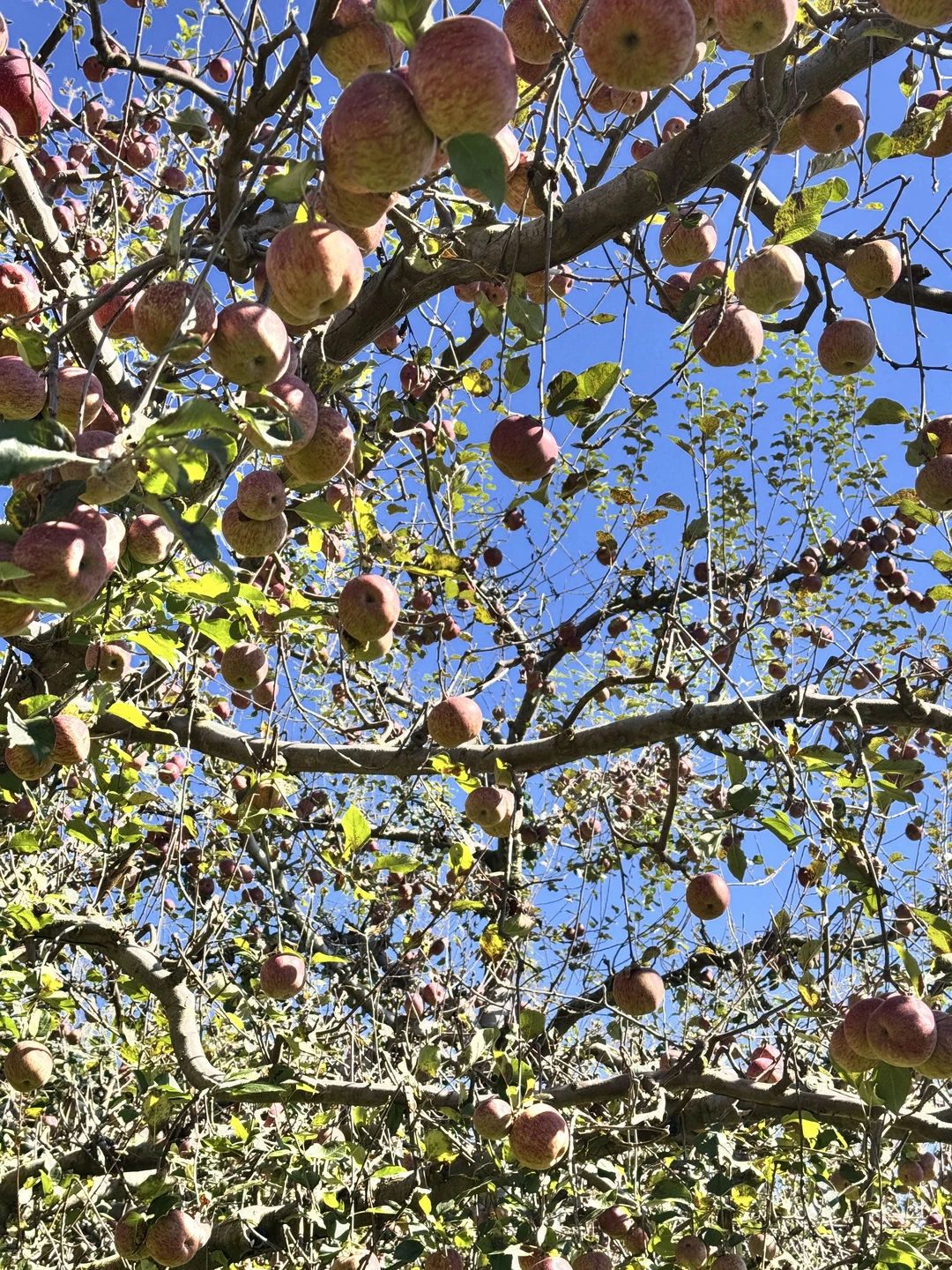 一辈子都是三农人