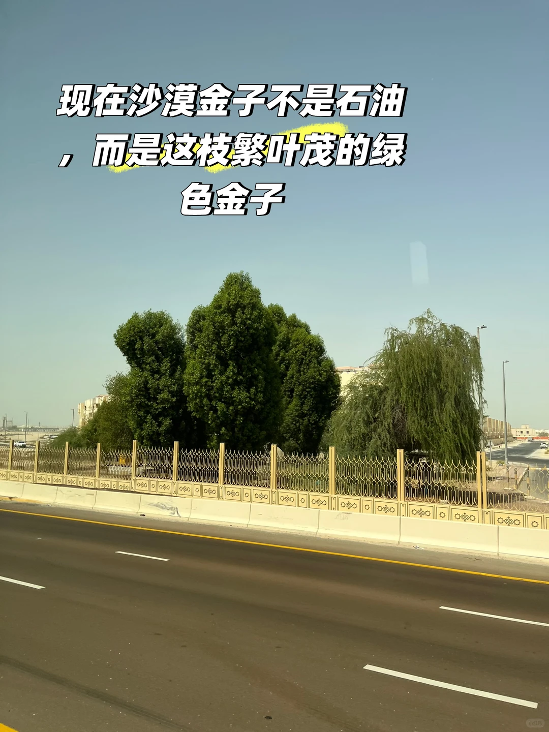 打扮的比本地人还本地人