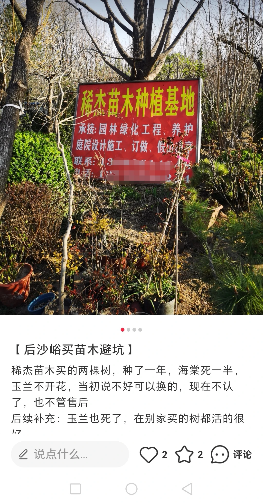 【后沙峪买苗木避坑】