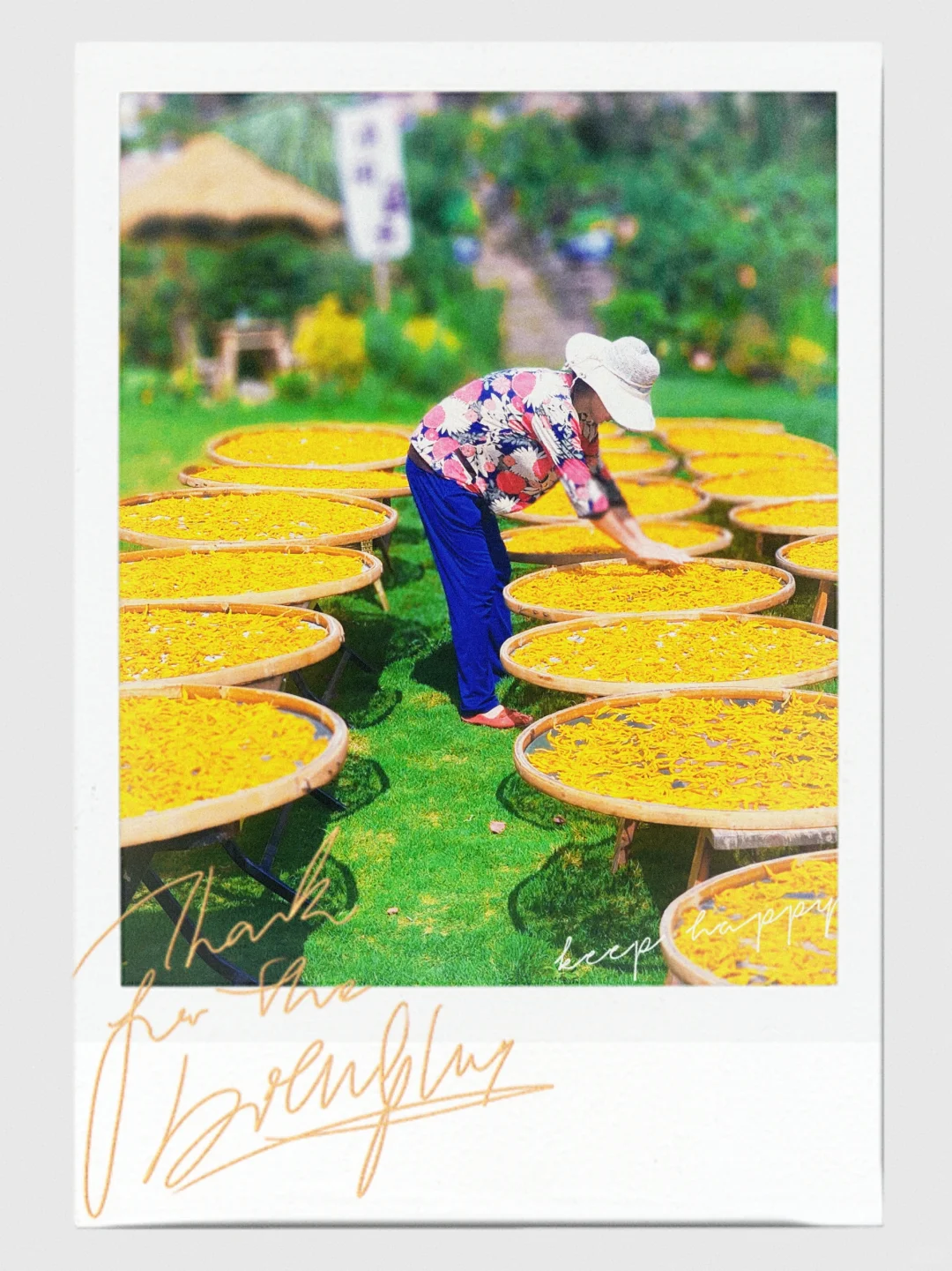 乡村振兴 ｜硕果累累