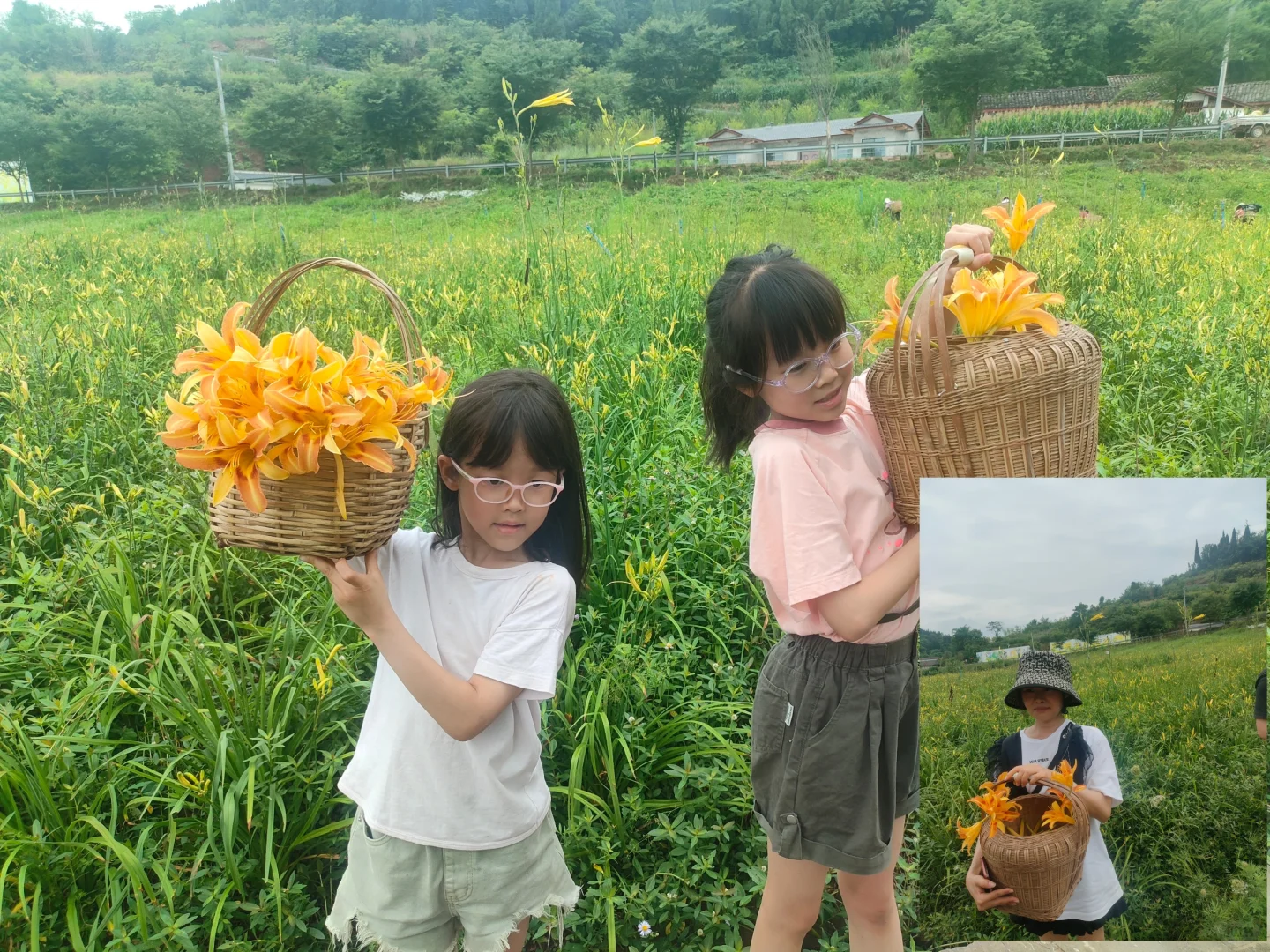 乡村振兴 ｜硕果累累