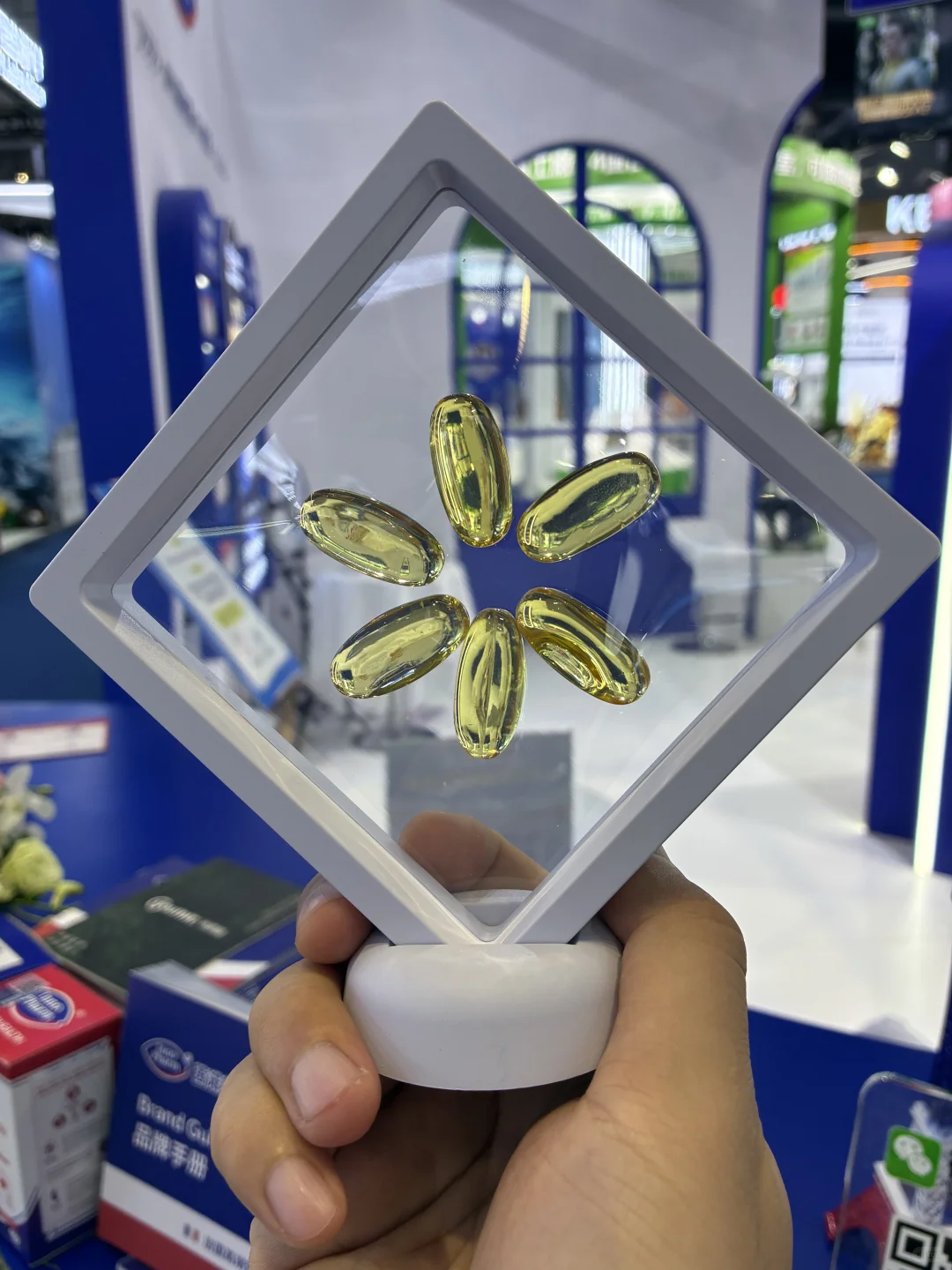 新人第一次参加进博会（疯狂薅羊毛?