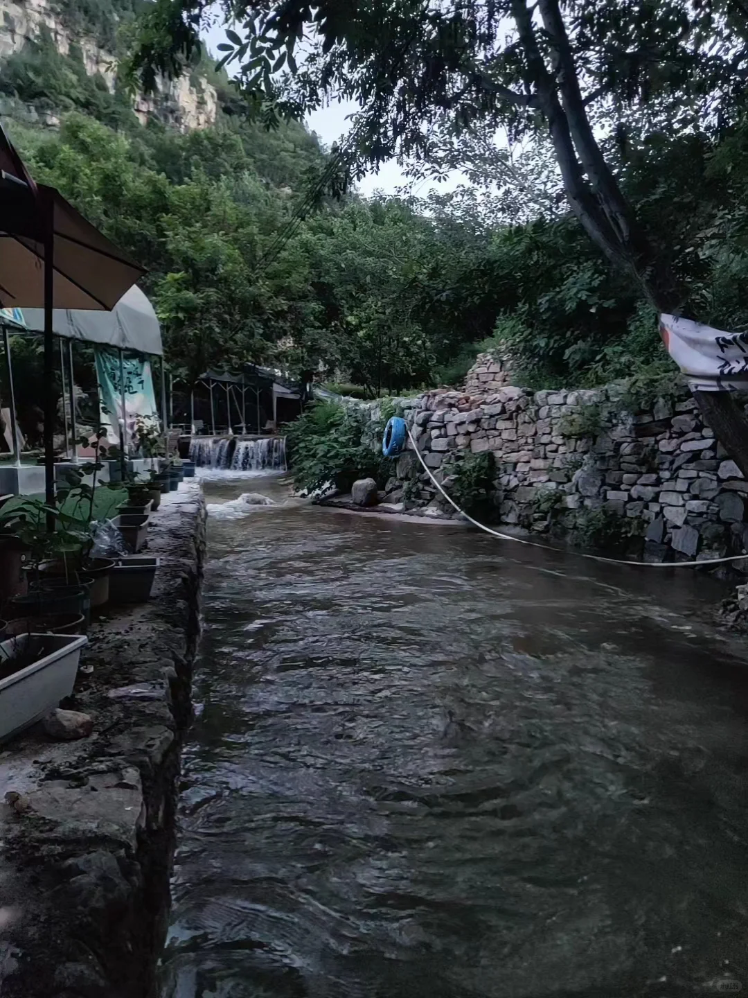 乡村带头人们看过来啦