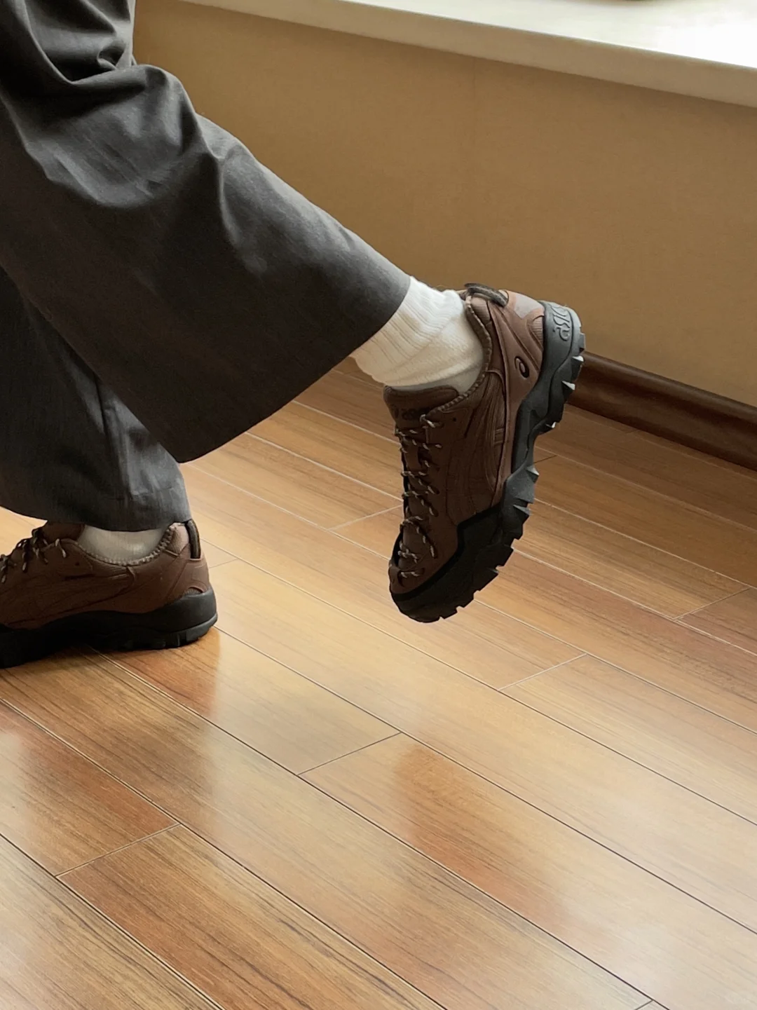 攒钱买鞋｜2025年第204/n双