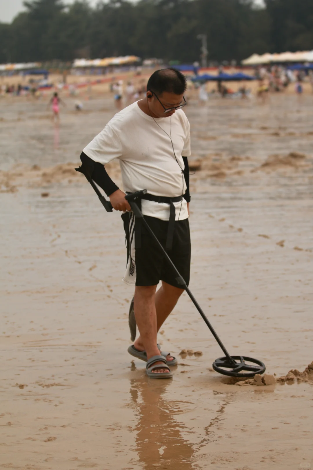 这是在沙滩探测啥呢？