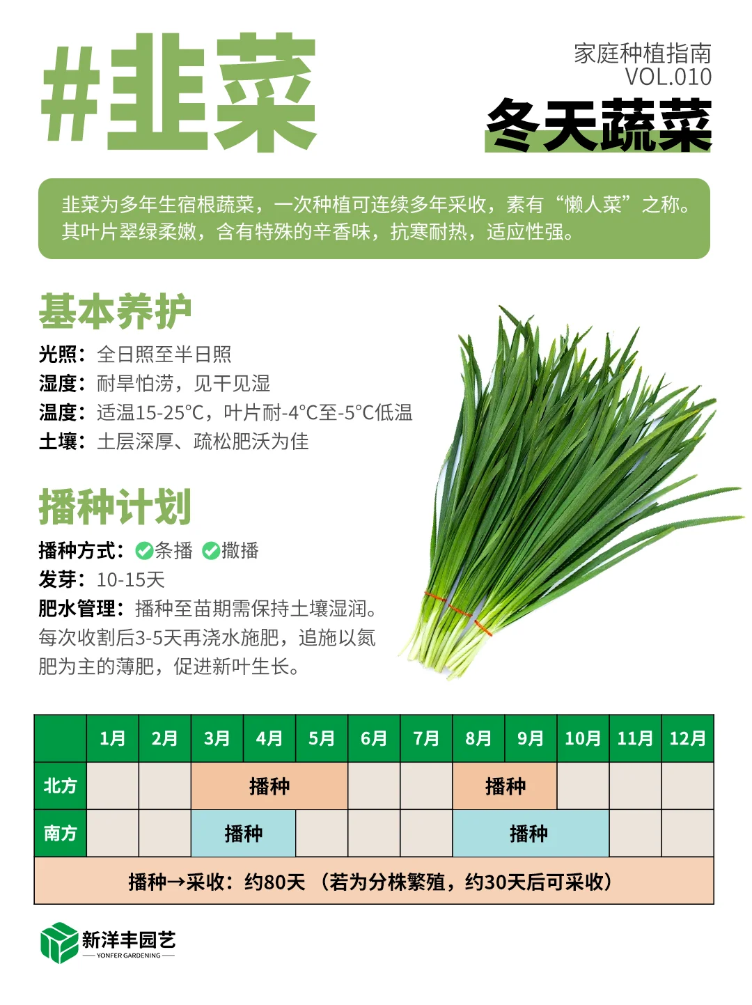 冬天种什么蔬菜？都给你整理好了