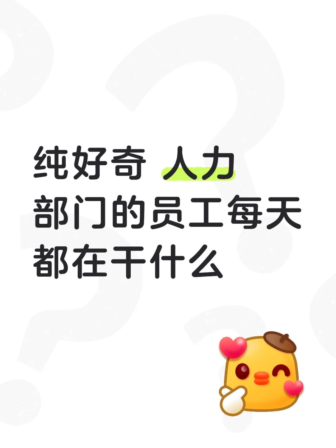 纯好奇哈