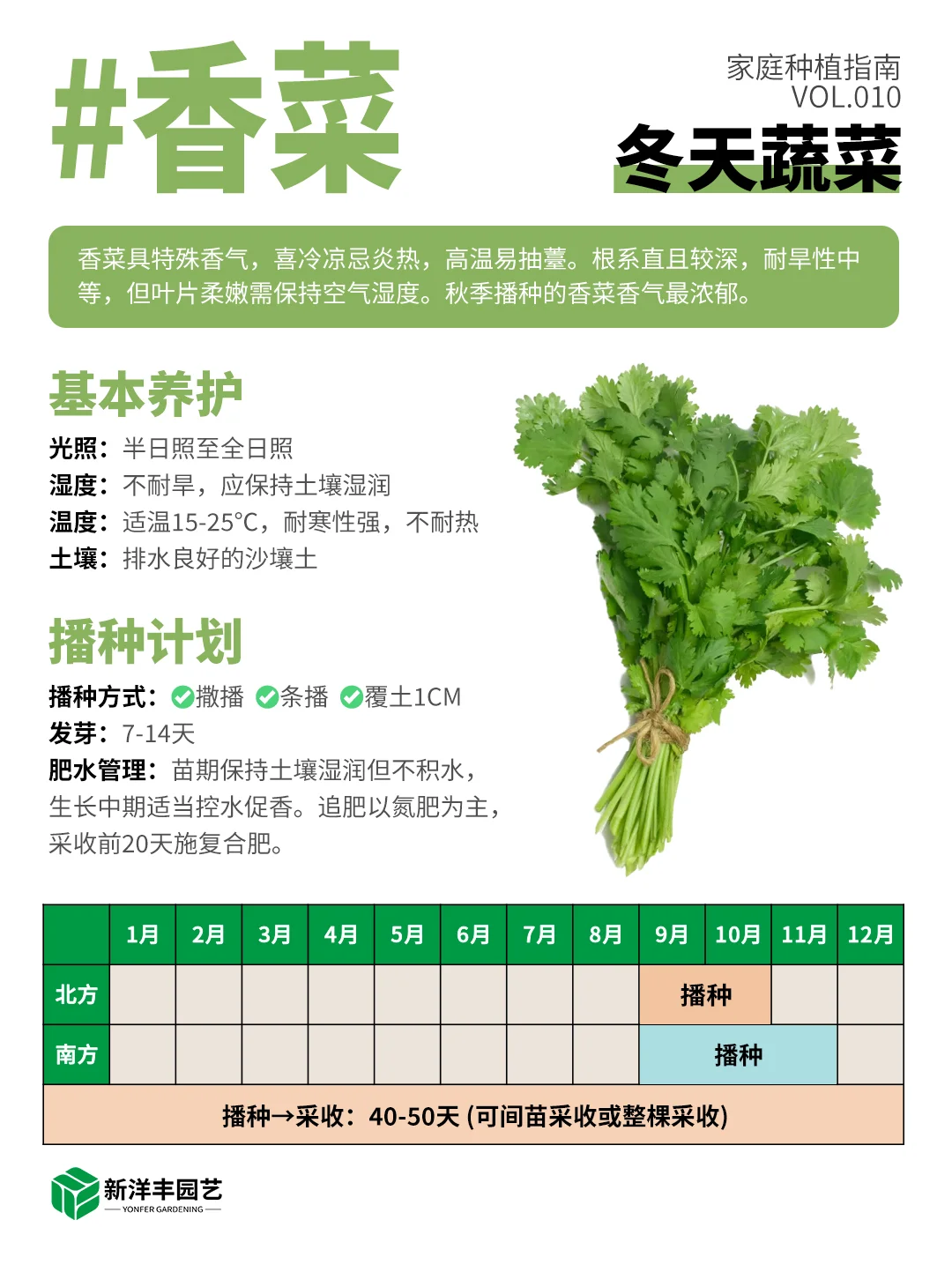 冬天种什么蔬菜？都给你整理好了
