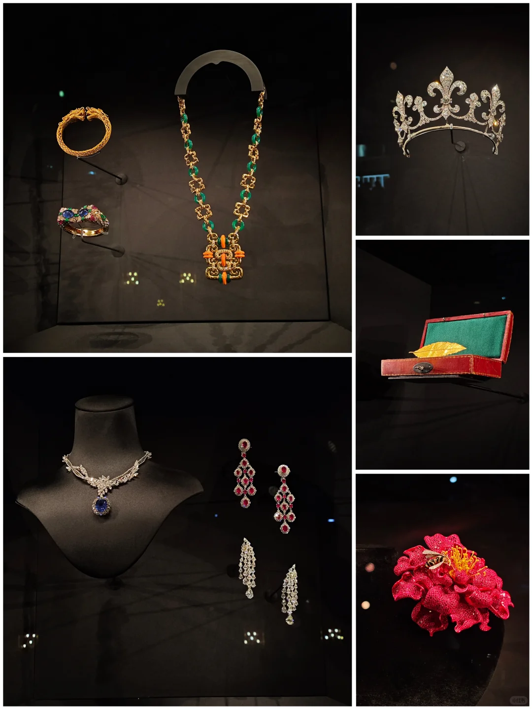 11.8进博会观展交作业啦！