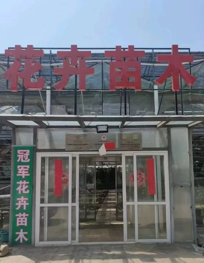 自家花棚大甩卖了！爱花的朋友请看！