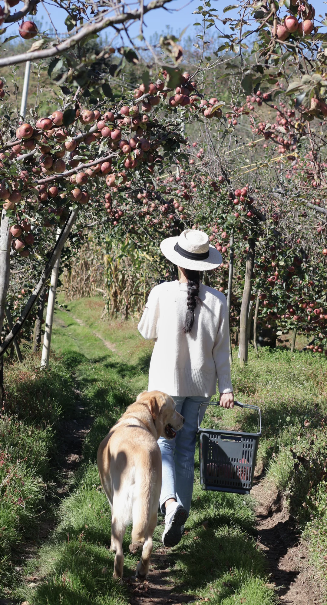 一辈子都是三农人