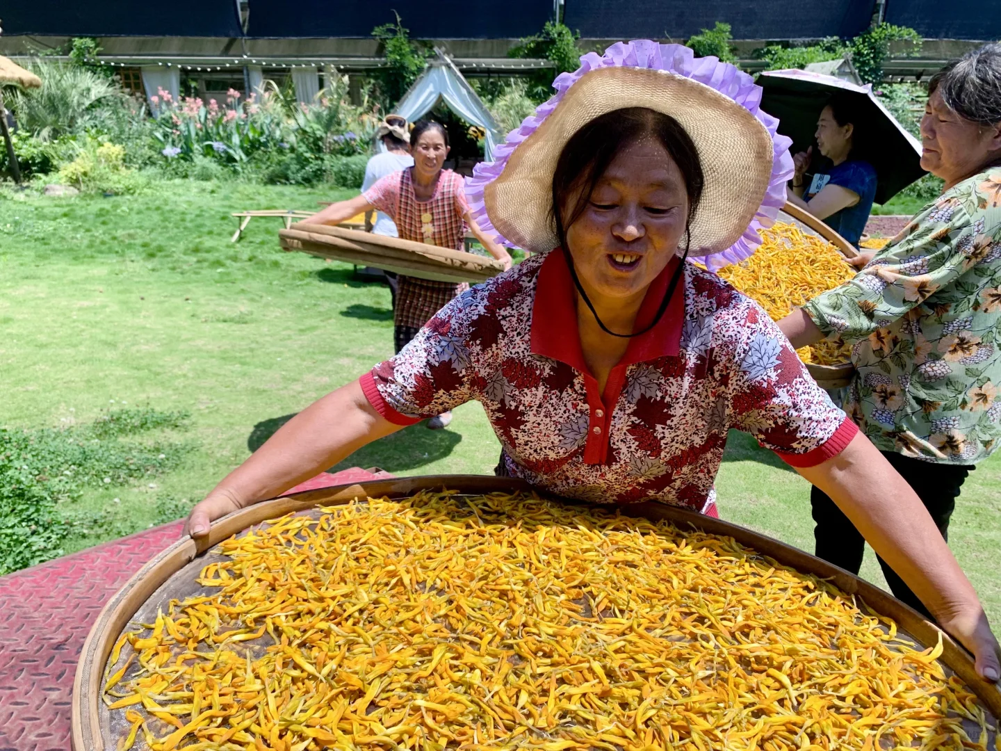 乡村振兴 ｜硕果累累