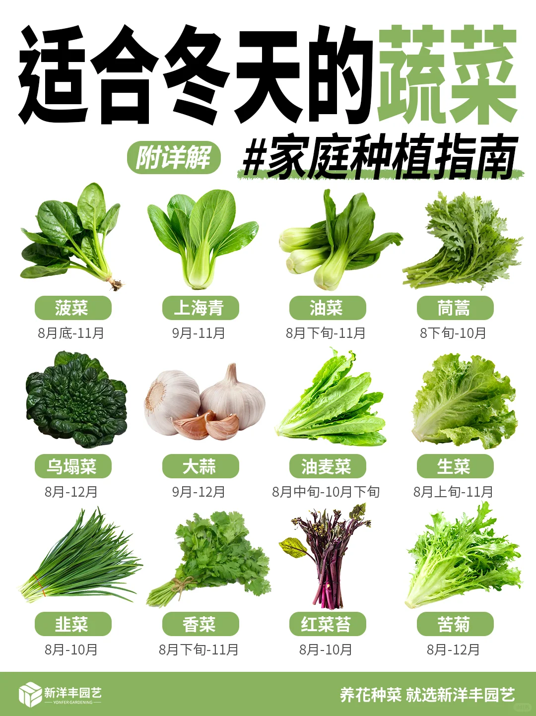 冬天种什么蔬菜？都给你整理好了