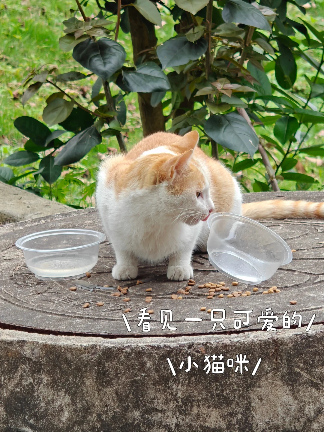 真心建议“乡村旅游”话题的文章这样写！