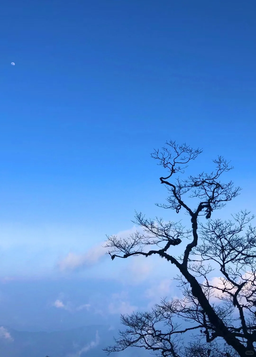 寻找新媒体搭子