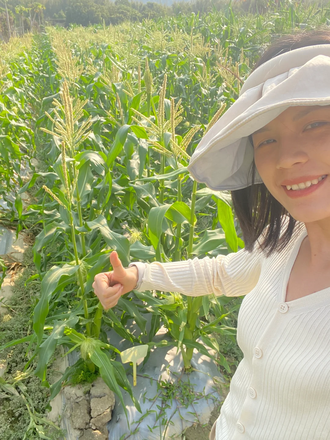 ? 新农人的田园生活，竟然这么治愈！✨