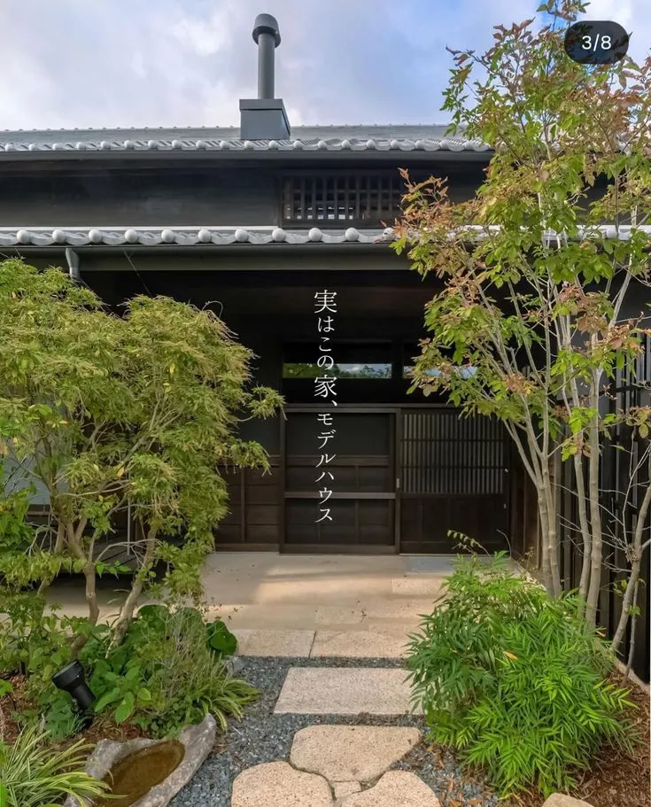 杂木庭院苗木选型纪要 | 柔美 飘逸 清雅