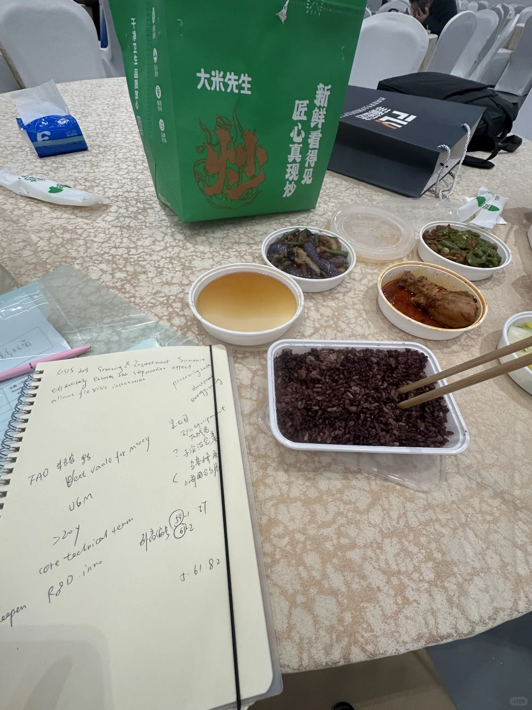 GSIS翻译员一日Daily Plog（矿山机械相关）