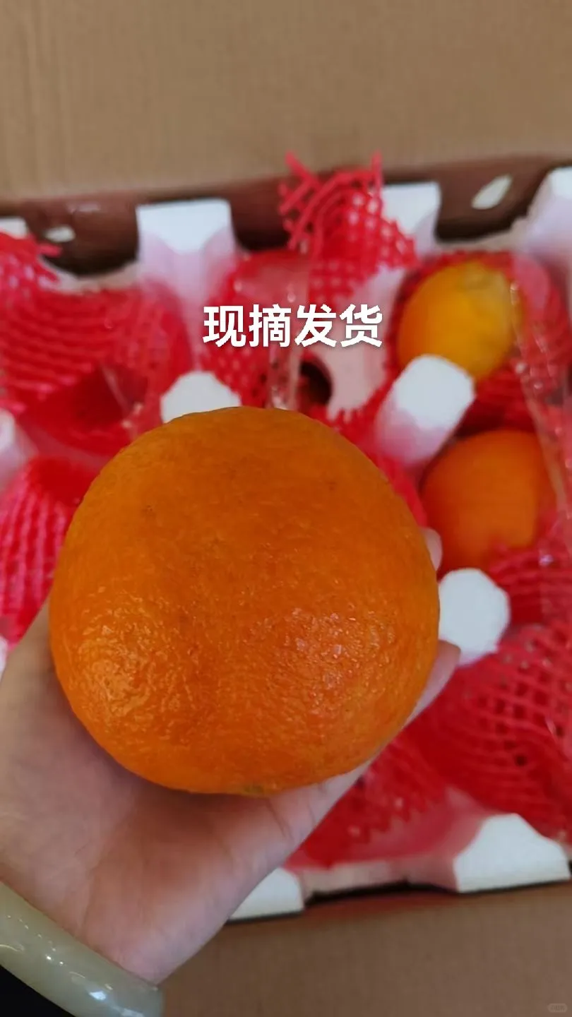 爱媛果冻橙，农村自家果果