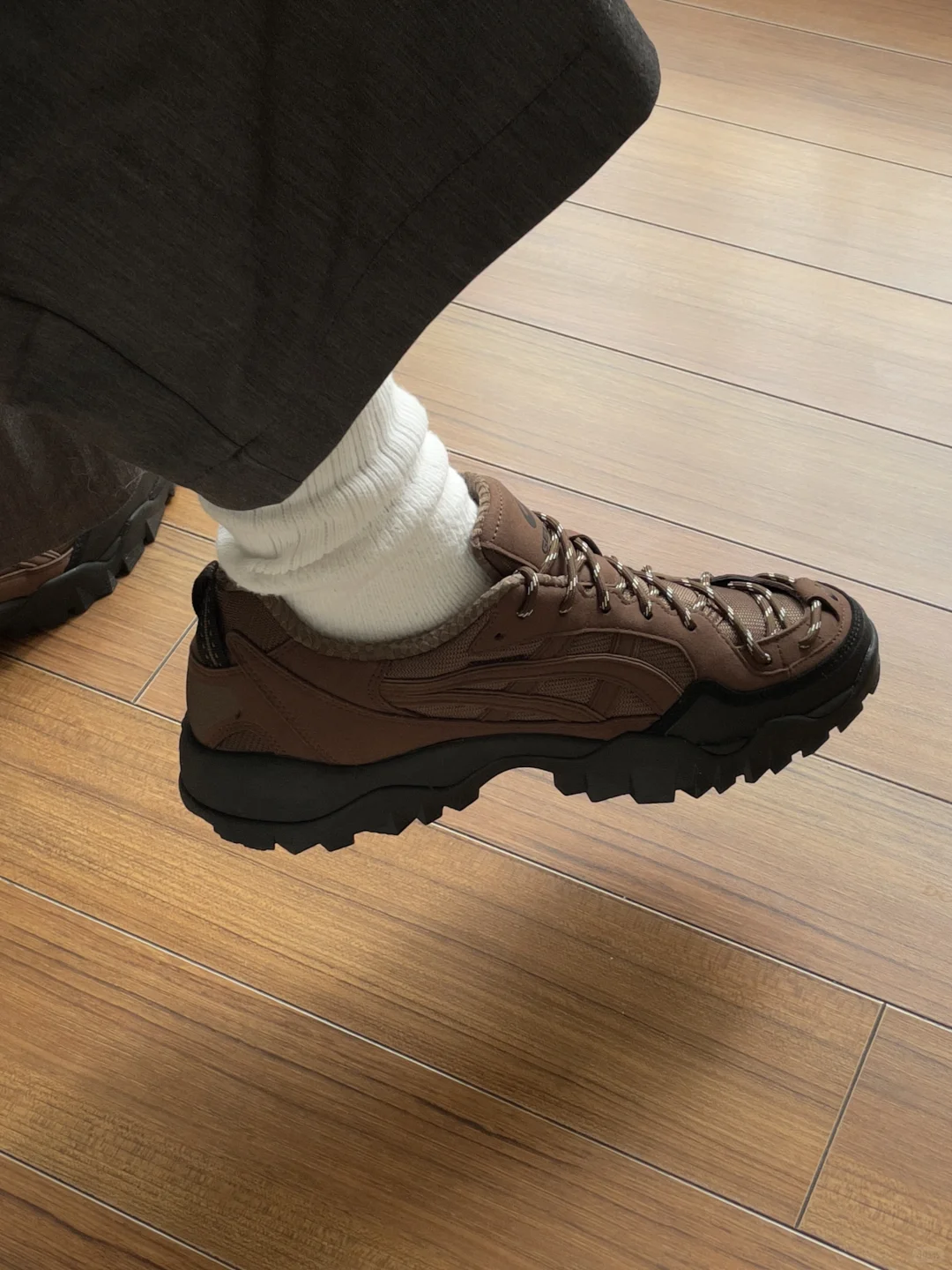 攒钱买鞋｜2025年第204/n双