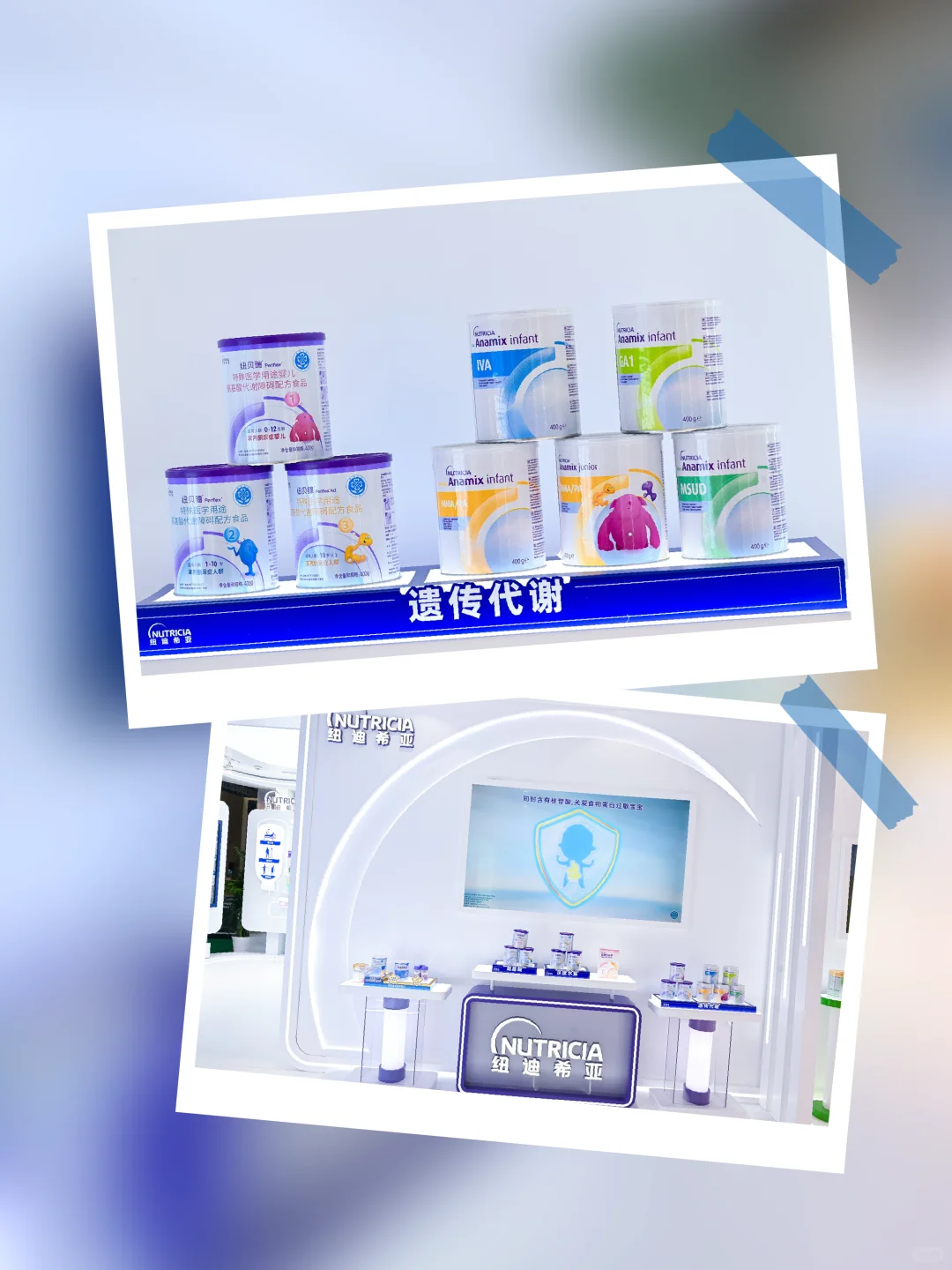 进博会，到底是个什么会？