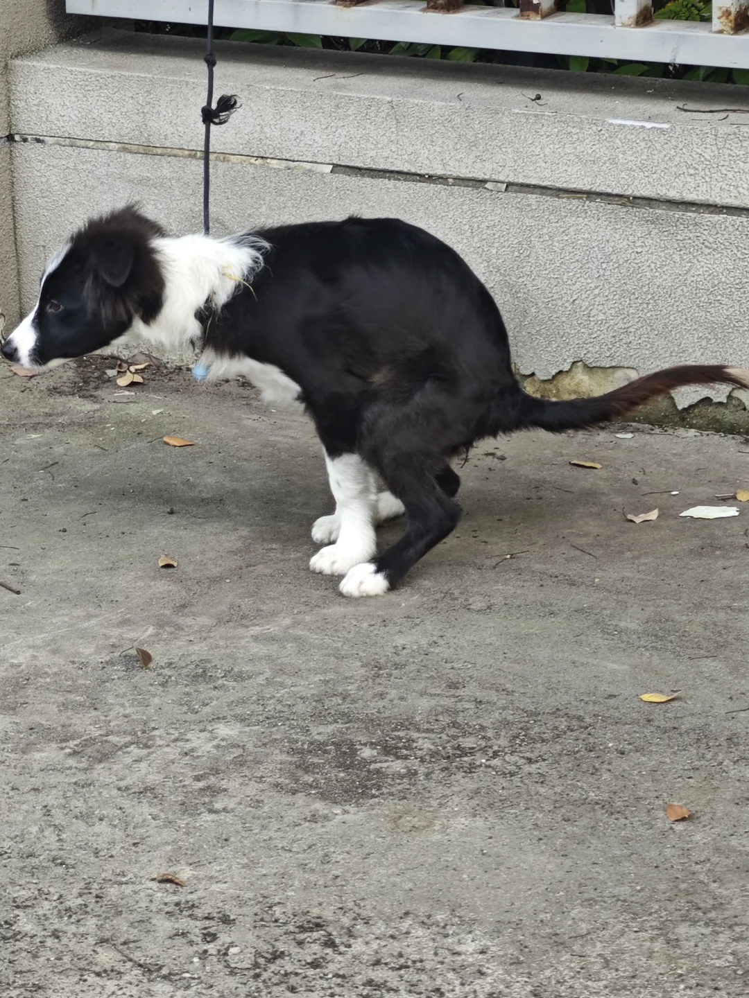 小米你竟然还能检测到自己掉了