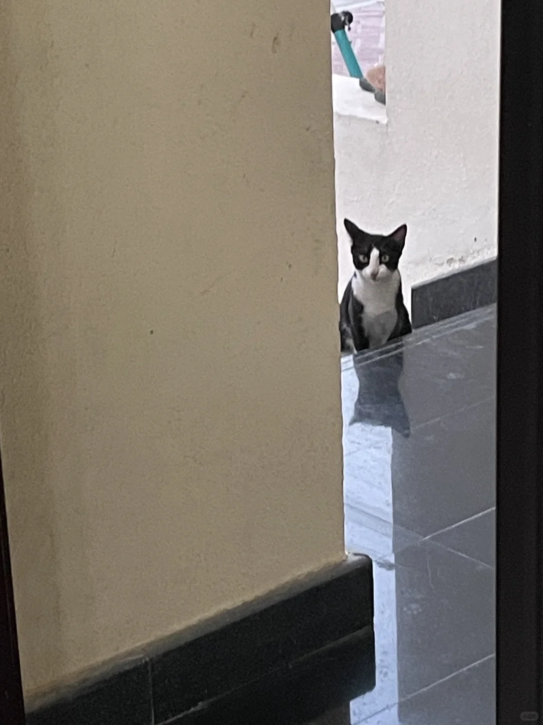 迪拜我把华人会呆的地方都呆过了