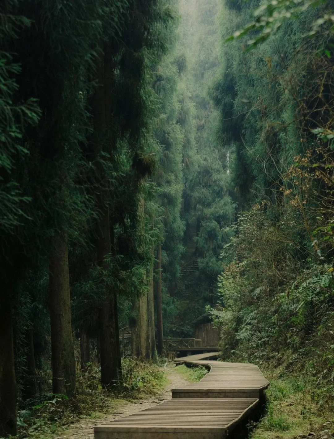 ♻️乡村文旅＋“疗愈经济”助力乡村振兴