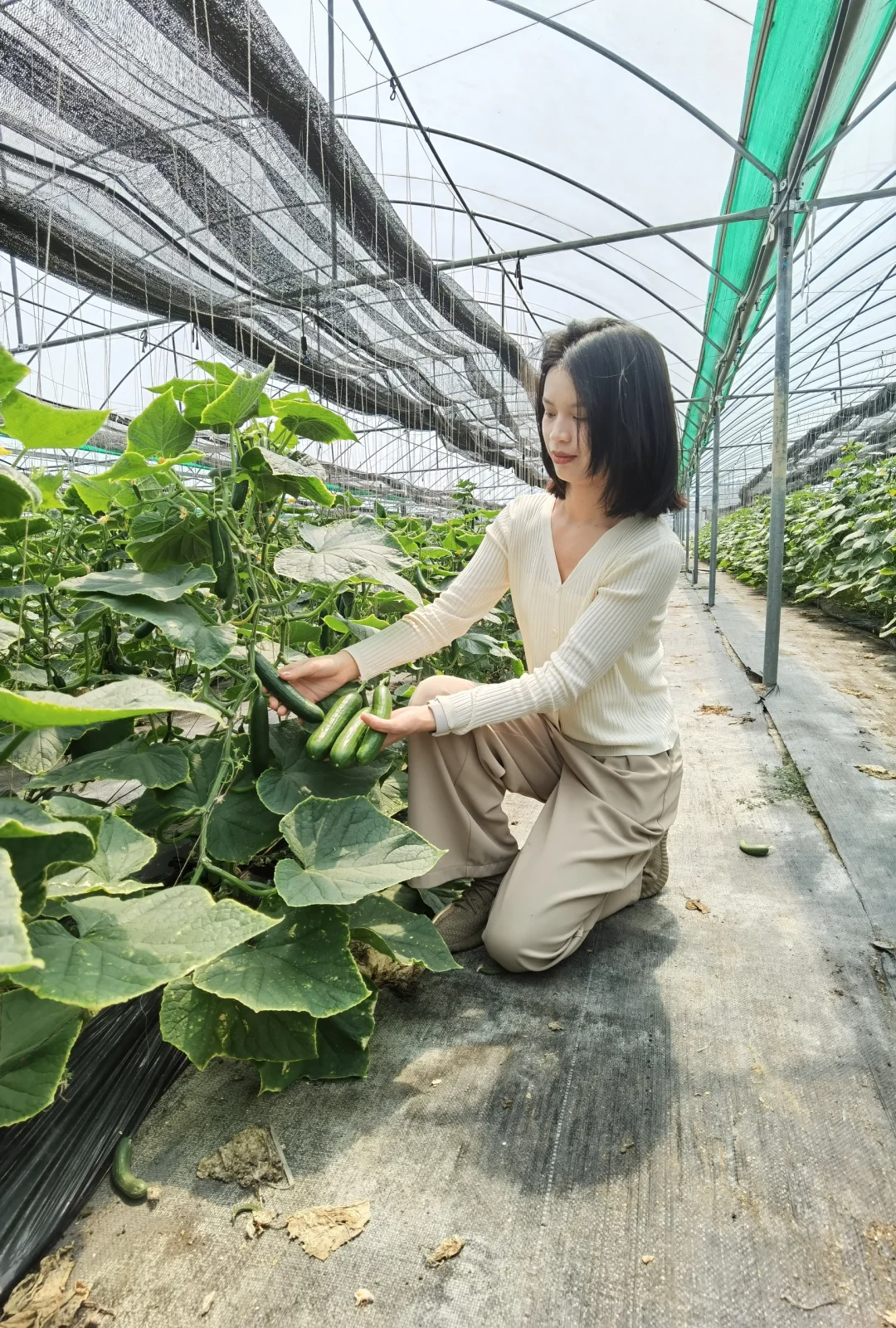 ? 新农人的田园生活，竟然这么治愈！✨