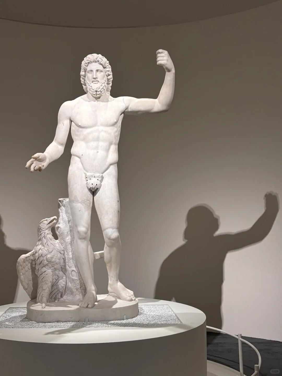 世博会博物馆“罗马罗马”特展