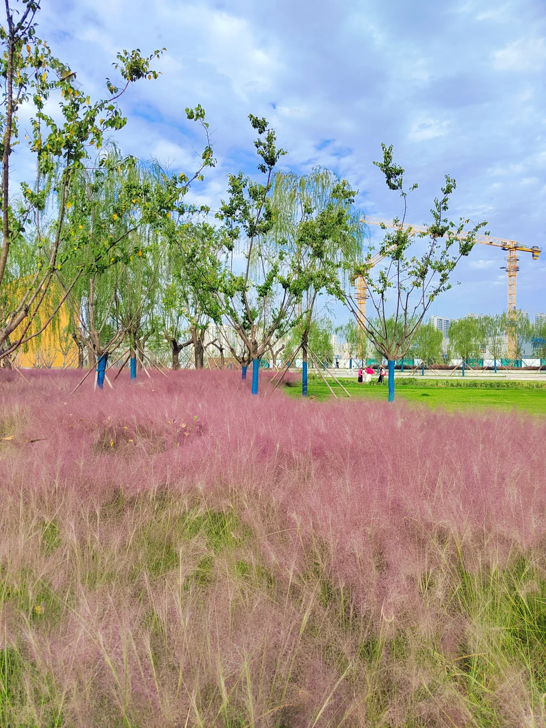 免费遛娃新地标，红旗铁路公园嗨玩一整天！