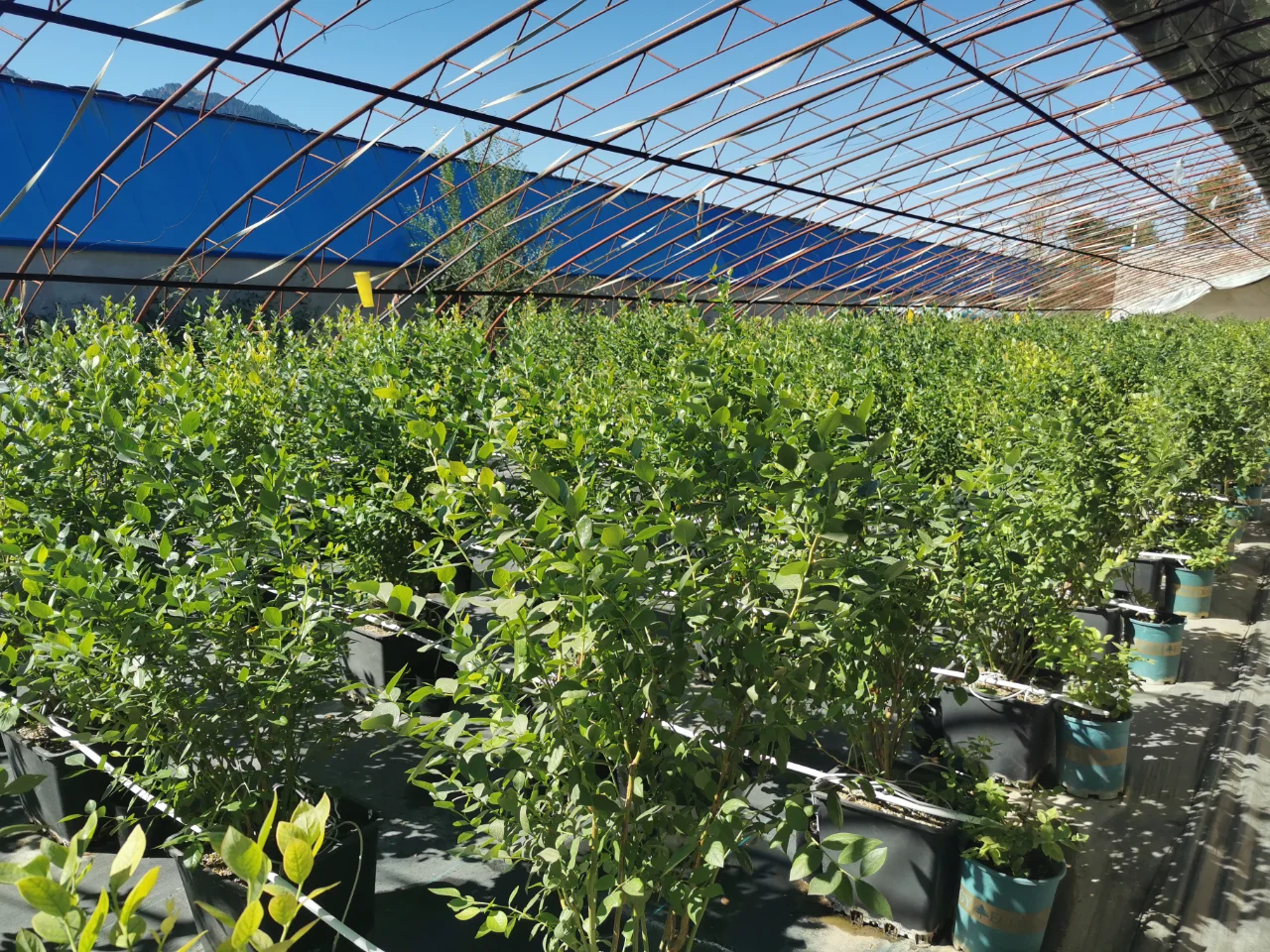 听我一句劝，创业的兄弟们千万别进农业的坑