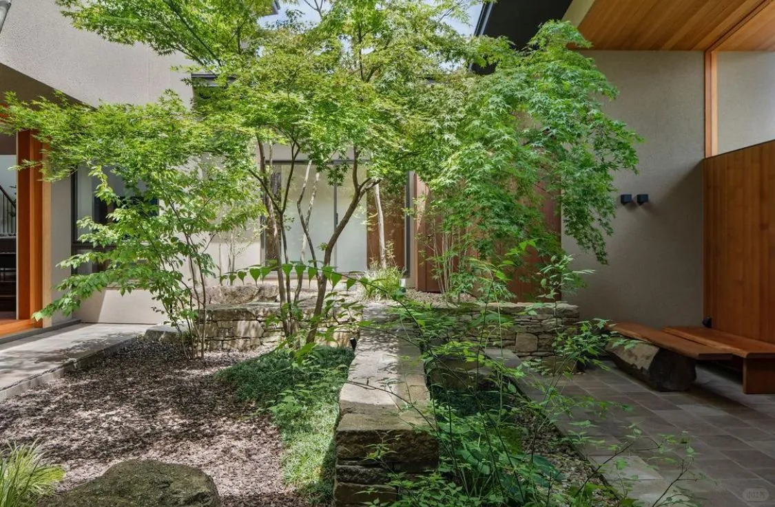 杂木庭院苗木选型纪要 | 柔美 飘逸 清雅