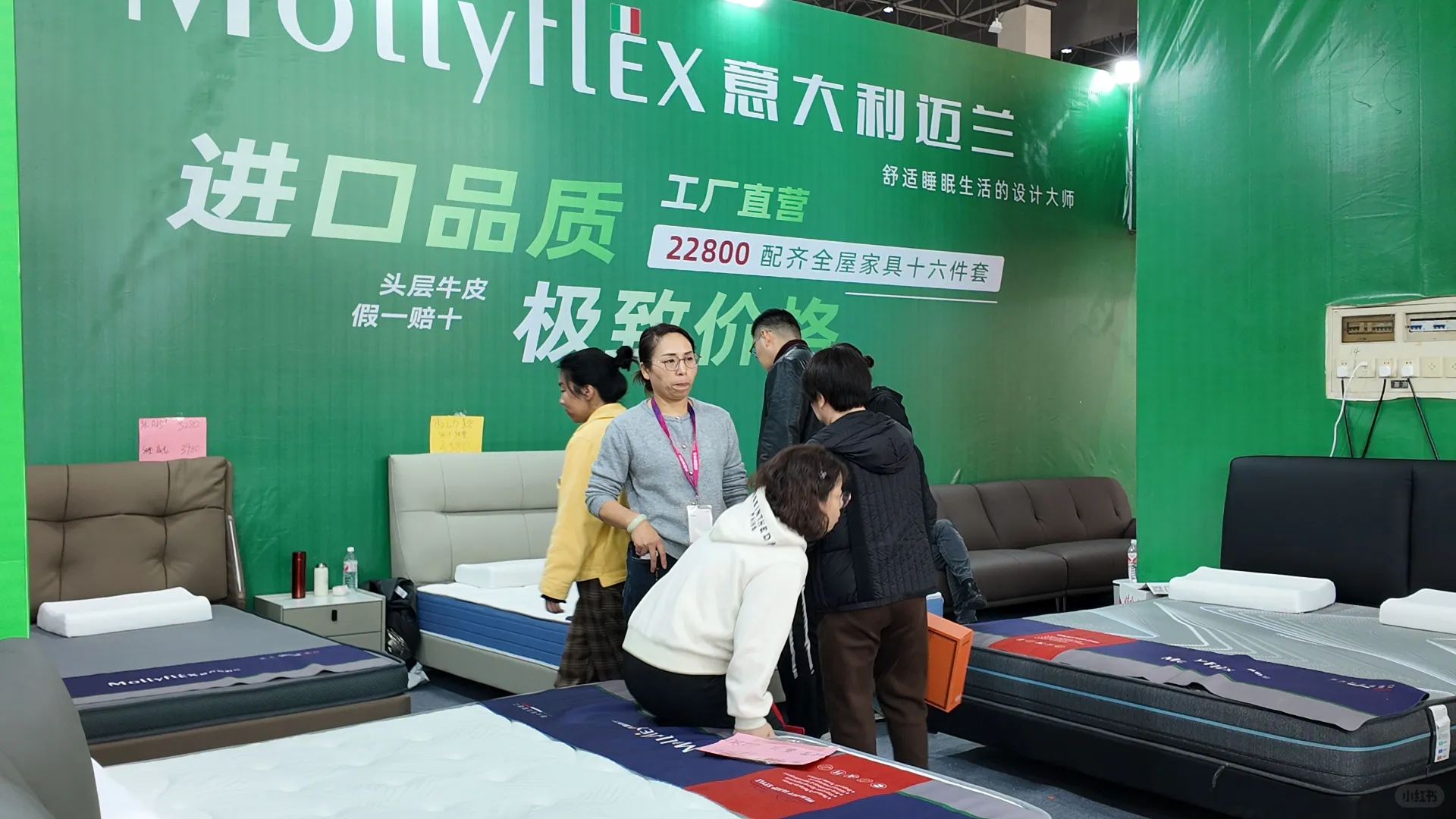 《环保党逛家博会：绿色建材+性价比我全都要