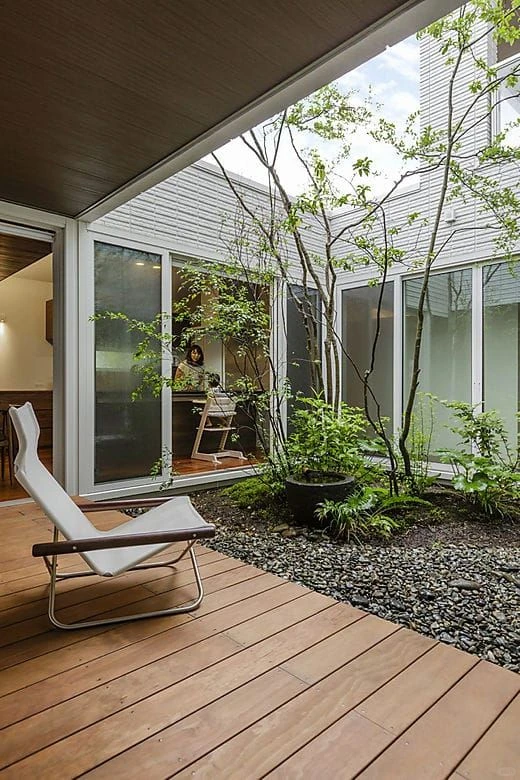 杂木庭院苗木选型纪要 | 柔美 飘逸 清雅