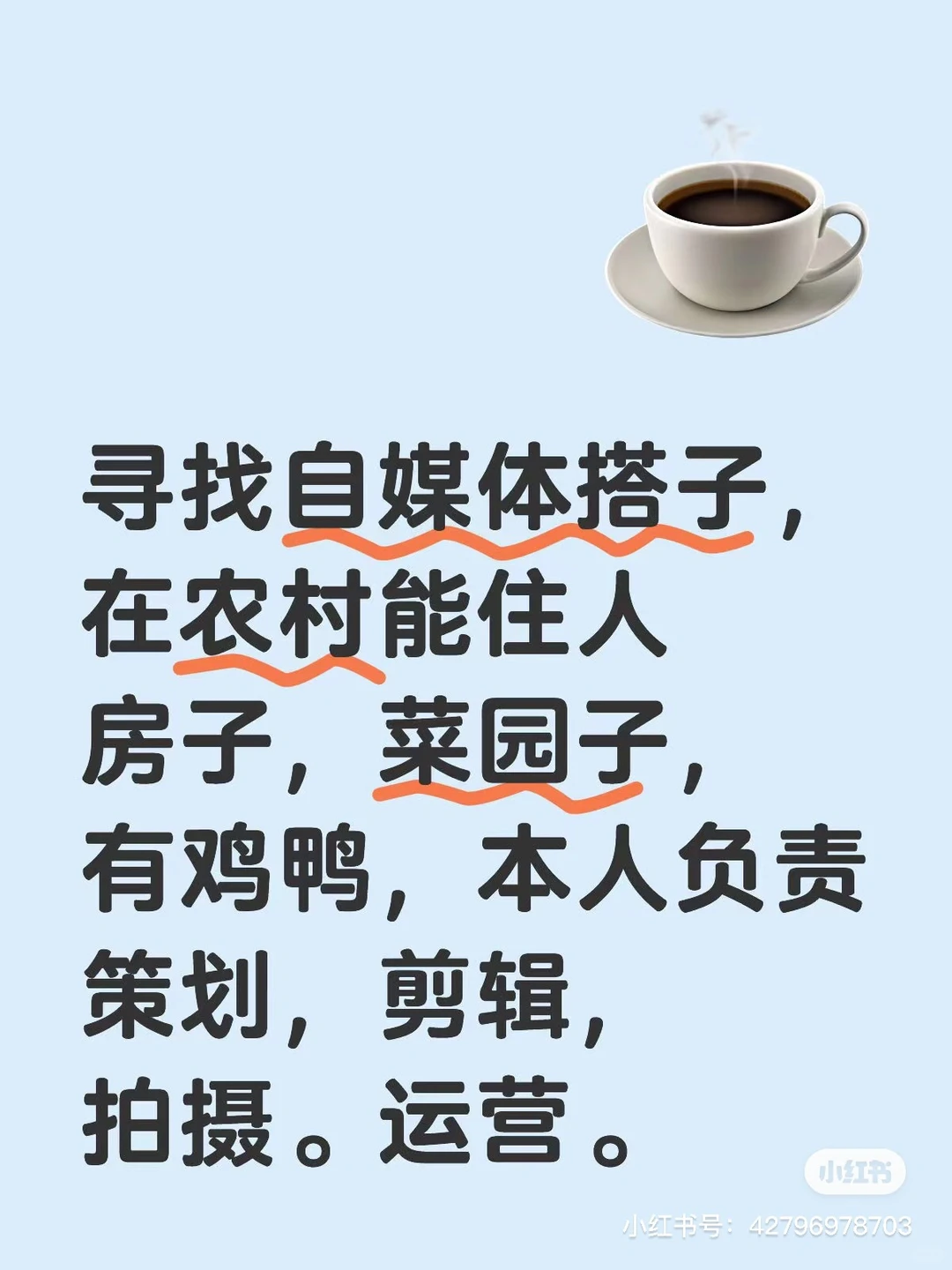 寻找新媒体搭子