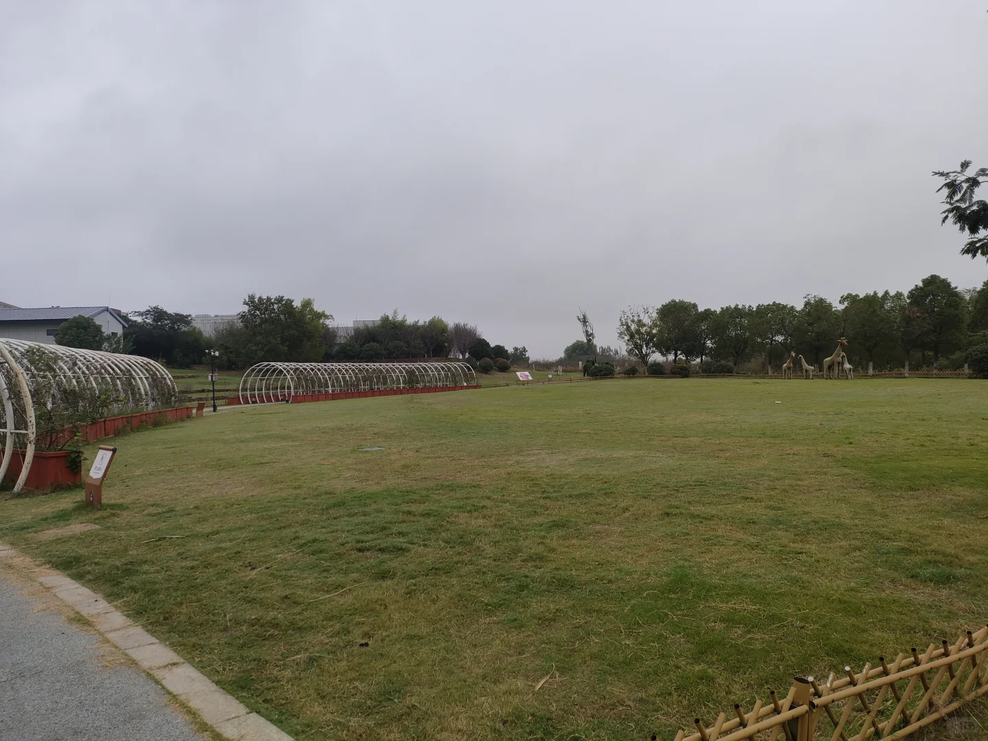 一起搞钱+免费住宿！婚礼及宠物主理人招募