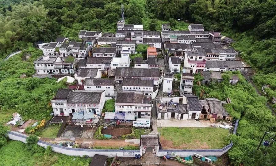 香港也有可持续种植的咖啡园☕️