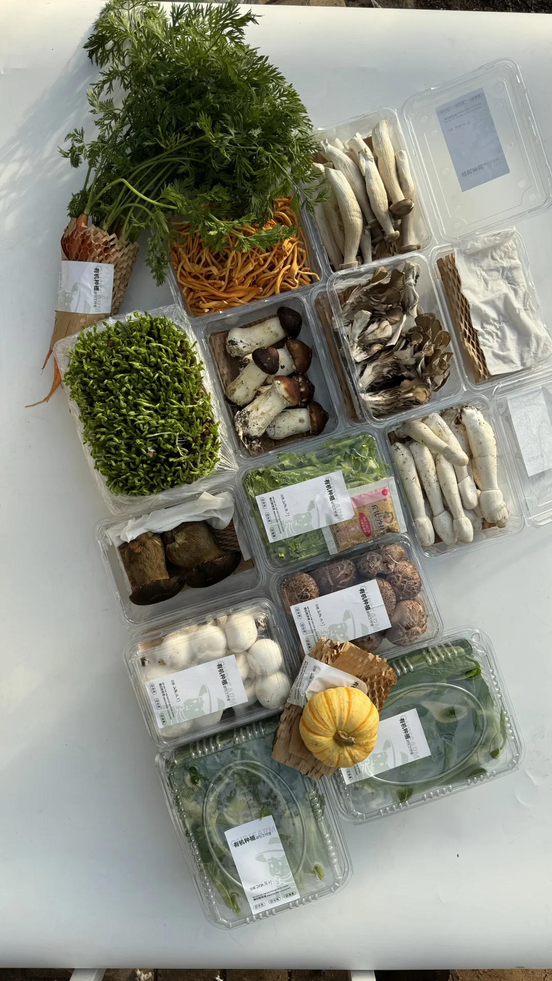 又花300万，普通人做有机农业不如躺平，多难