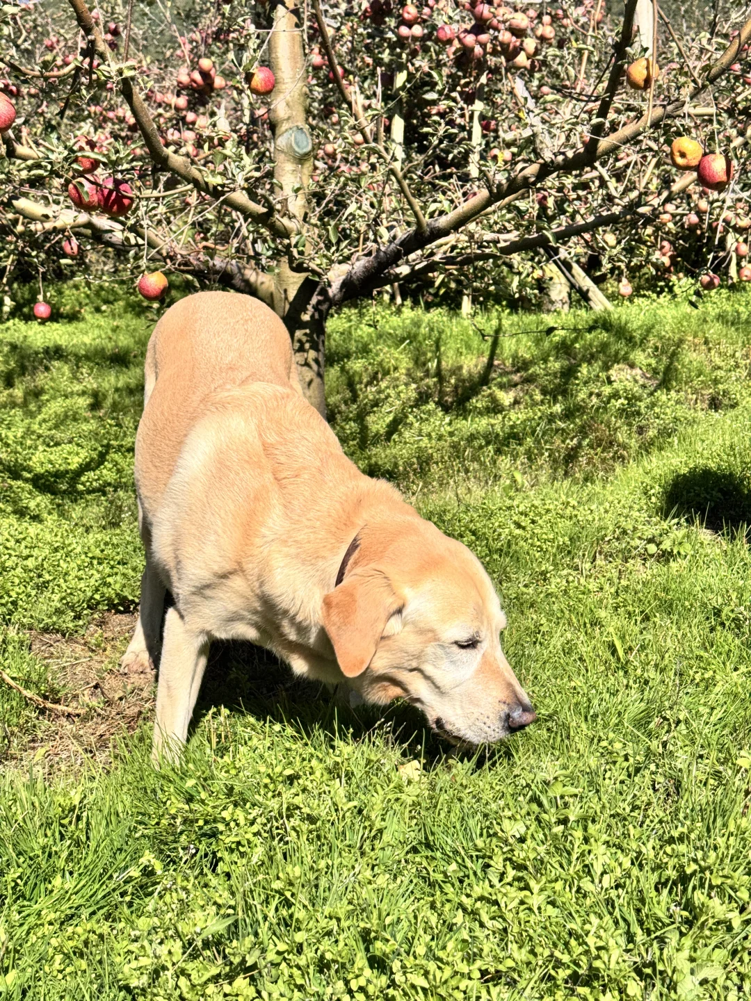 一辈子都是三农人