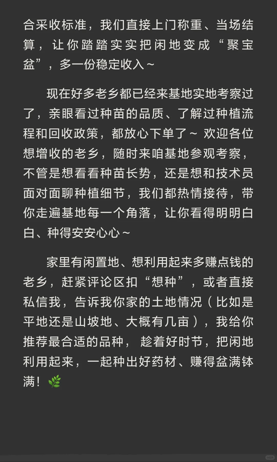 农村闲地别！中药材种植稳赚攻略，新手也能
