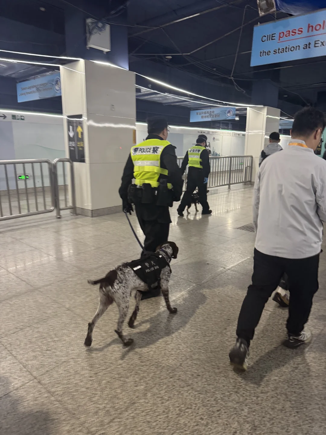 进博会圆满落幕✨