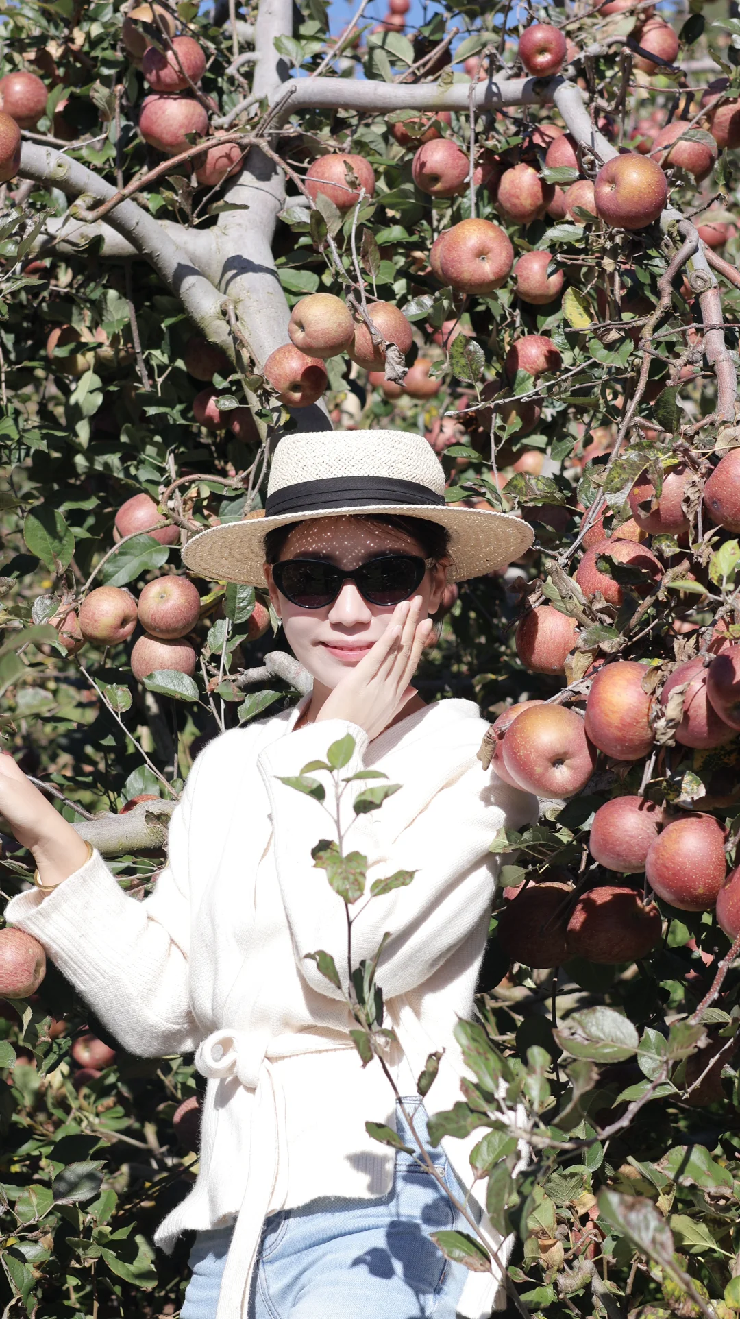 一辈子都是三农人