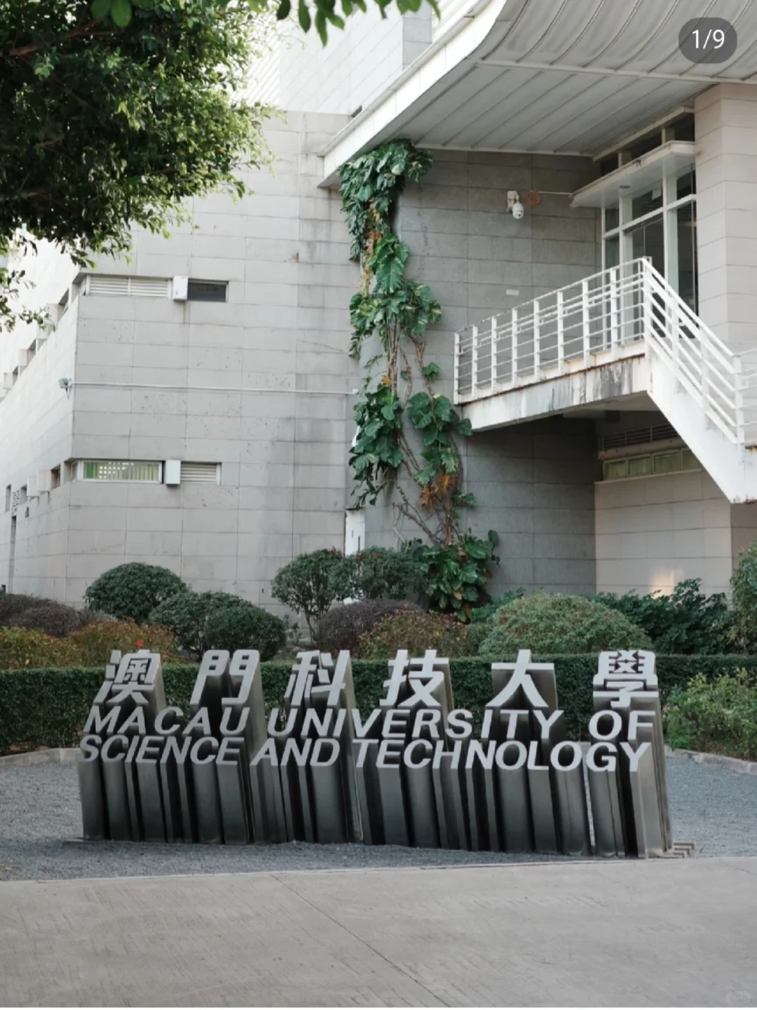 澳门科技大学学习压力大到抑郁，决定休学了